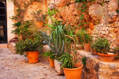 İspanya 'nın Mallorca kentindeki küçük bir kasabadaki saksı bitkilerinin resimli sokak manzarası