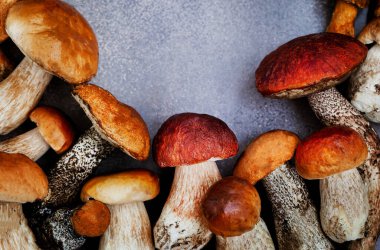 Vahşi orman yenilebilir mantarları (boletus), yakın plan