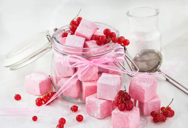 Homemade red currant marshmallows — Stock Photo, Image