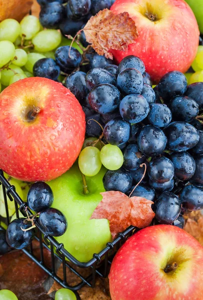 Manzanas y uvas frescas maduras de otoño — Foto de Stock