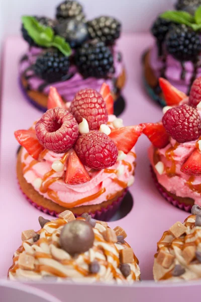 Ensemble de différents délicieux cupcakes — Photo