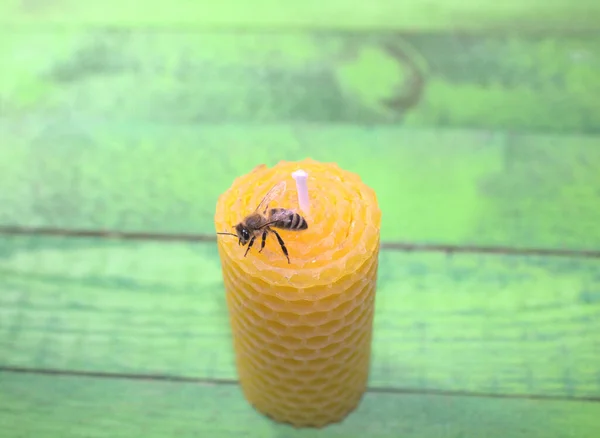 Una Vela Cera Con Una Abeja —  Fotos de Stock