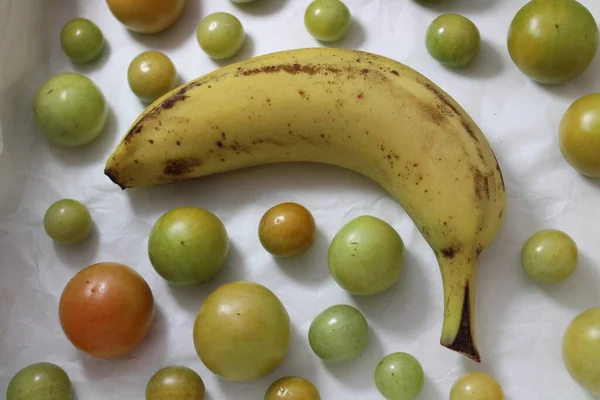 Unreife Tomaten Die Mit Einer Banane Schneller Reifen — Stockfoto