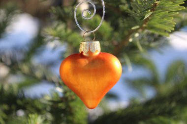a heart shaped christmas tree decoration on a Nordmann fir clipart