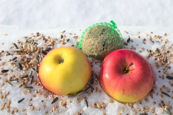 different kinds of bird food in the snow