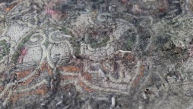 Masa örtüsünde güve larvası tohumları