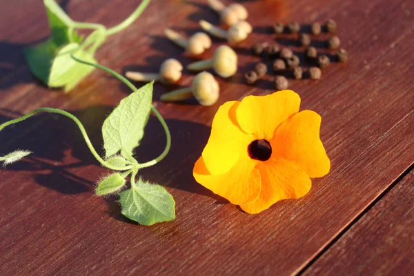 Vignes Susan Aux Yeux Noirs Graines Sur Une Table — Photo