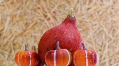Saman teması üzerinde dönen balkabağı.