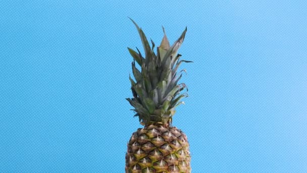 Ananas Ruotante Sul Tema Blu — Video Stock