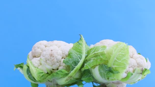 Zdrowe Dojrzałe Warzywa Kalafiorowe Obracające Się — Wideo stockowe