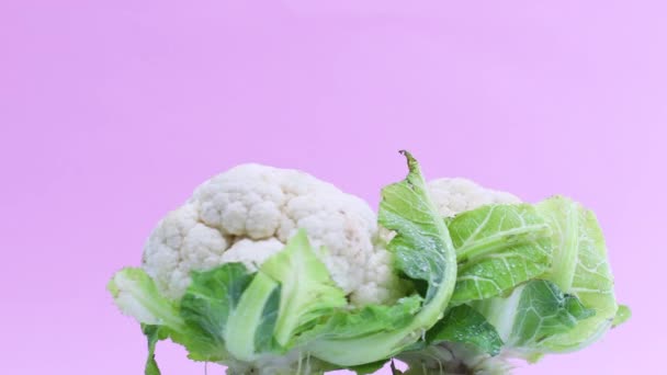 健康成熟的新鲜菜花蔬菜轮作 — 图库视频影像