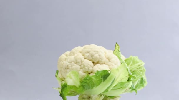 健康的な熟した新鮮なカリフラワー野菜の回転 — ストック動画