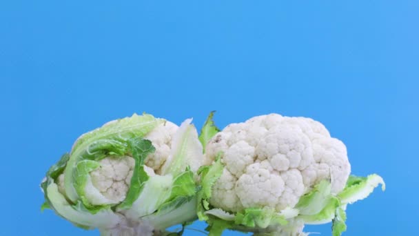 Verduras Frescas Maduras Sanas Coliflor Que Rotan — Vídeos de Stock