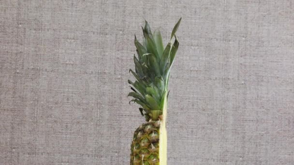 Mezza Ananas Fette Rotanti — Video Stock