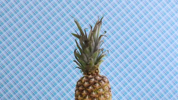 Roterande Halv Skivad Mogen Ananas Blå Tema — Stockvideo