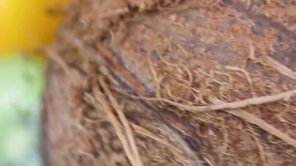 Makro Nahaufnahme Von Verschiedenen Arten Frischer Reifer Früchte Rotierend — Stockvideo