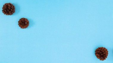 Mavi temanın sol ve sağ köşelerinde çam kozalakları kar taneleri görünür. Hareketi durdur