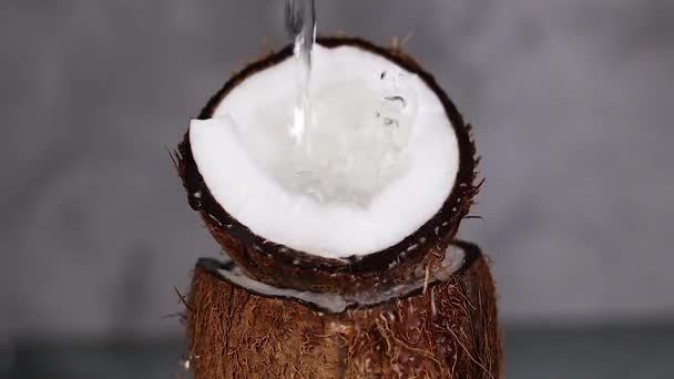 ココナッツに新鮮な水が飛び散るのが遅い — ストック動画