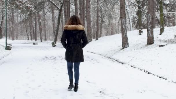 Snöig Kall Vinterdag Och Kvinna Går Spår Täckt Snö — Stockvideo