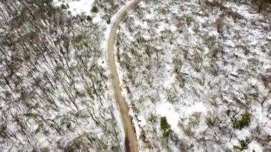Yollu ormanda kış mevsiminin havadan görünüşü