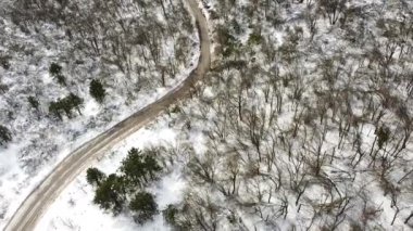 Yollu ormanda kış mevsiminin havadan görünüşü