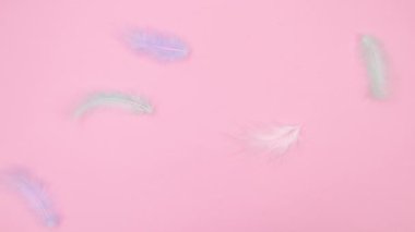 Renkli tüyler pastel pembe temada görünür. Hareketi durdur
