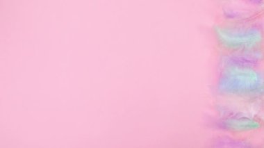 Tüylü ve yumurtalı Paskalya süslemeleri sağ tarafta görünür. Hareketi durdur