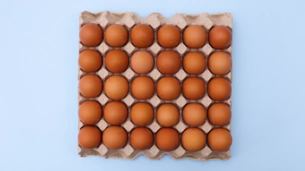 盒子里放着鸡蛋 传递着淡蓝色的主题 停止运动 — 图库视频影像