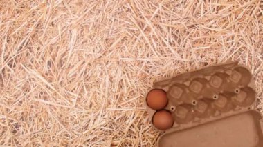Yumurta için kutuda yumurta saman temasının sağ tarafında görünür. Hareketi durdur