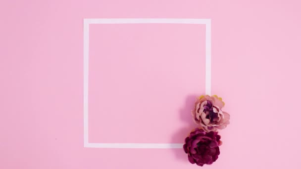Cabeças Flor Flor Aparecem Quadro Espaço Cópia Fundo Rosa Pastel — Vídeo de Stock