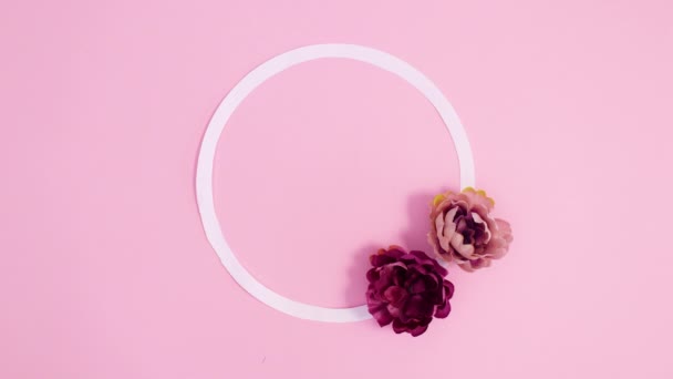 Bloom Flower Appear Copy Space Frame Pastel Pink Background Stop — Stock Video