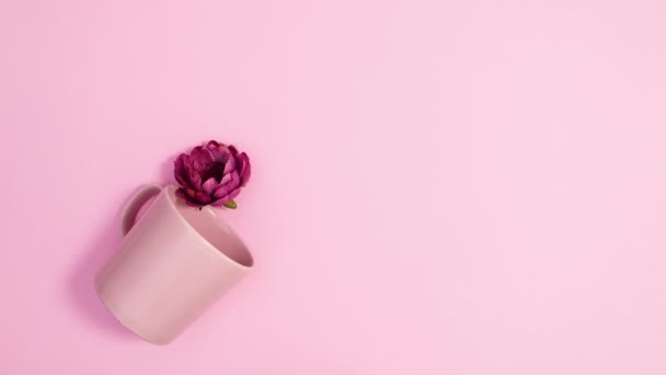 Arranjo Flor Flor Aparecem Copo Rosa Pastel Fundo Rosa Brilhante — Vídeo de Stock