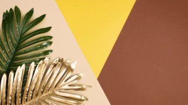Altın ve yeşil tropik palmiye yaprakları altın sarısı arka planda hareket eder. Stop motion minimum düzlük egzotik konsept