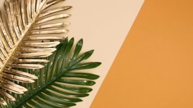 Yaratıcı tropik düz konsept altın ve yeşil palmiye yaprakları çıplak arka planda görünür. Hareketi durdur