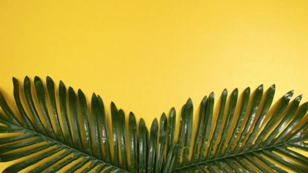 Тропічне Золото Зелене Пальмове Листя Являються Золотому Тлі Припиніть Рух — стокове відео