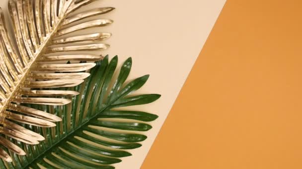 Тропічне Золото Зелене Пальмове Листя Являються Оголеному Помаранчевому Тлі Припинити — стокове відео