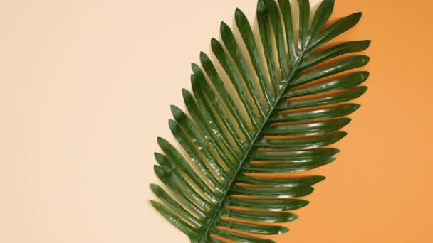 Green Palm Leaf Appear Nude Orange Background Tropic Exotic Flat — Stock Video