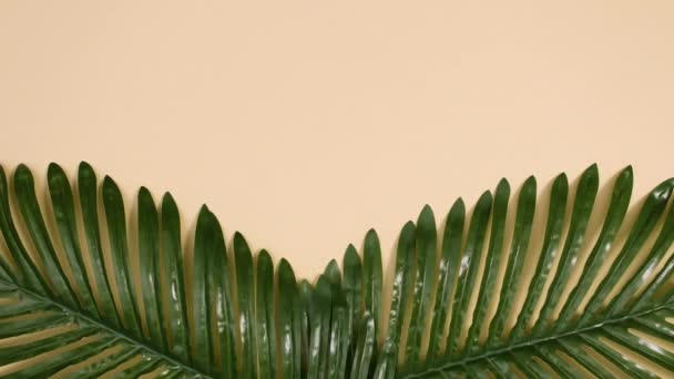 Kreatív trópusi arany és zöld pálmalevelek jelennek meg kétféleképpen meztelen alapon. Állj!