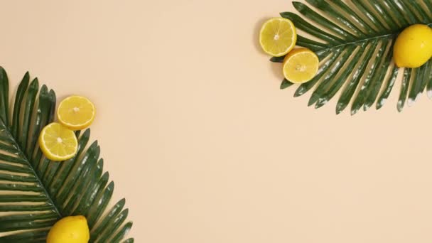 Exotická Tropická Dekorace Palmovými Listy Nakrájeným Citrusovým Citrusem Písčitém Pozadí — Stock video