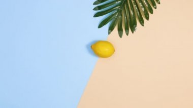 Tropik palmiye yaprağı ve dilimlenmiş limonlar mavi ve kumlu arka planda görünür. Yaz konsepti stop motion flat lay