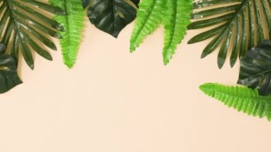 Yeşil tropik yapraklar bej arka planda hareket eder. Dur, kıpırdama.
