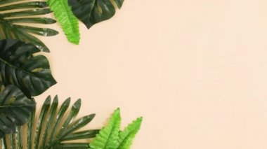 Yeşil tropik yapraklar yazın kumlu arka planında hareket eder. Dur hareketi düz yatıyordu