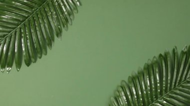 Koyu yeşil arka planda yeşil orman yapraklarından yapılmış tropik bir çerçeve. Dur hareketi düz yatıyordu