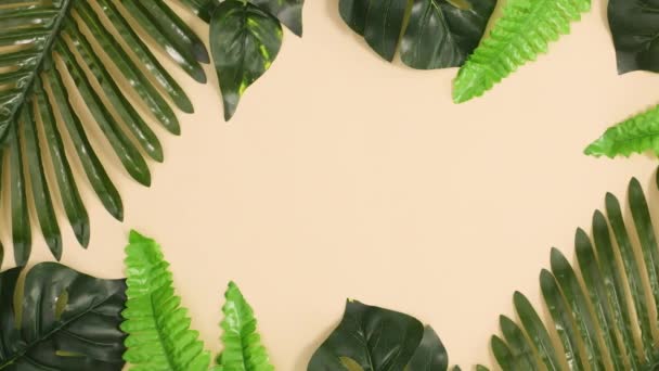 Tropic Εξωτικό Πλαίσιο Πράσινα Φύλλα Μπεζ Φόντο Στάση Κίνησης Οριζόντια — Αρχείο Βίντεο