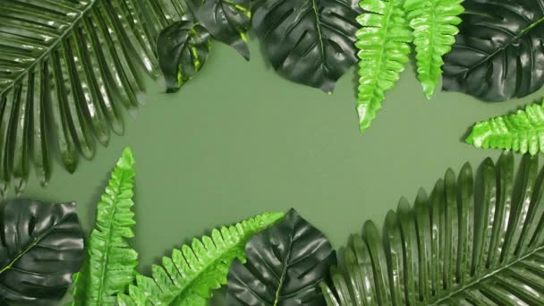 Foglie Tropicali Fanno Cornice Sfondo Giungla Verde Scuro Stop Movimento — Video Stock