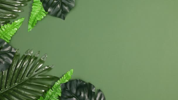 Folhas Tropicais Lado Esquerdo Fundo Verde Escuro Stop Motion Flat — Vídeo de Stock