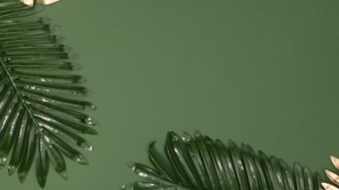 Yazın altın ve yeşil tropik yapraklar koyu yeşil arka planda görünür. Dur hareketi düz yatıyordu