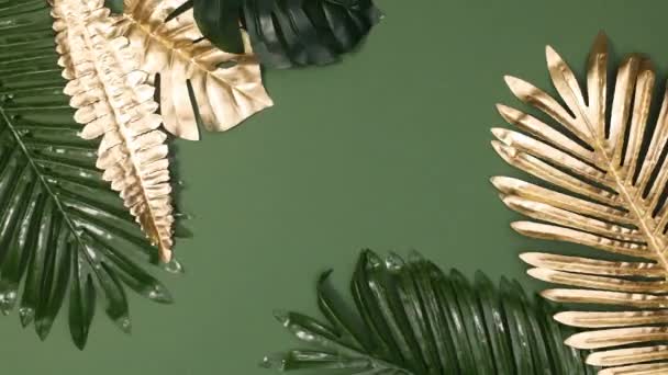 Summer Gold Green Tropic Leaves Move Edges Dark Green Background — Stock Video