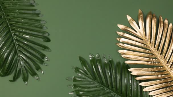Летнее Золото Зеленые Тропические Листья Появляются Краях Темно Зеленого Фона — стоковое видео