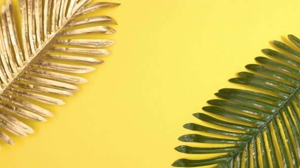 Tropisches Gold Und Grüne Blätter Erscheinen Auf Sommergelbem Hintergrund Mit — Stockvideo